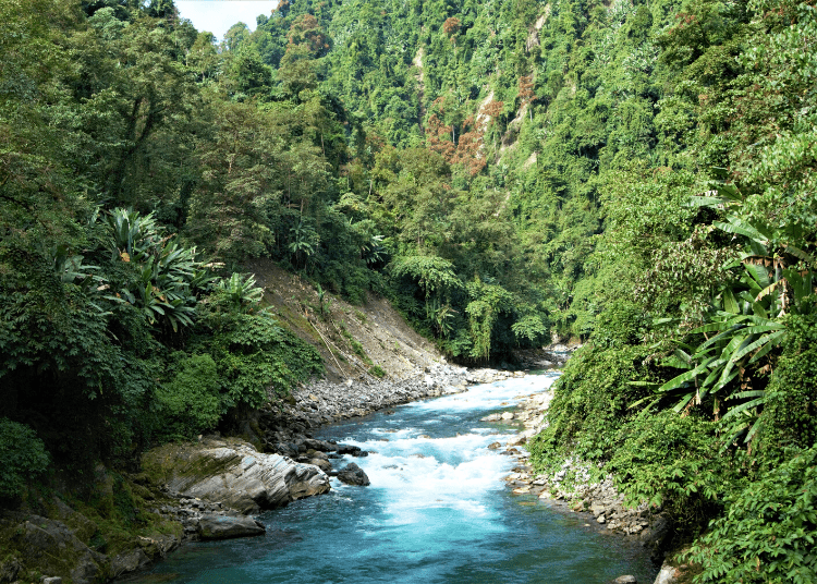 Image shows a river flowing in the midst of green mountains