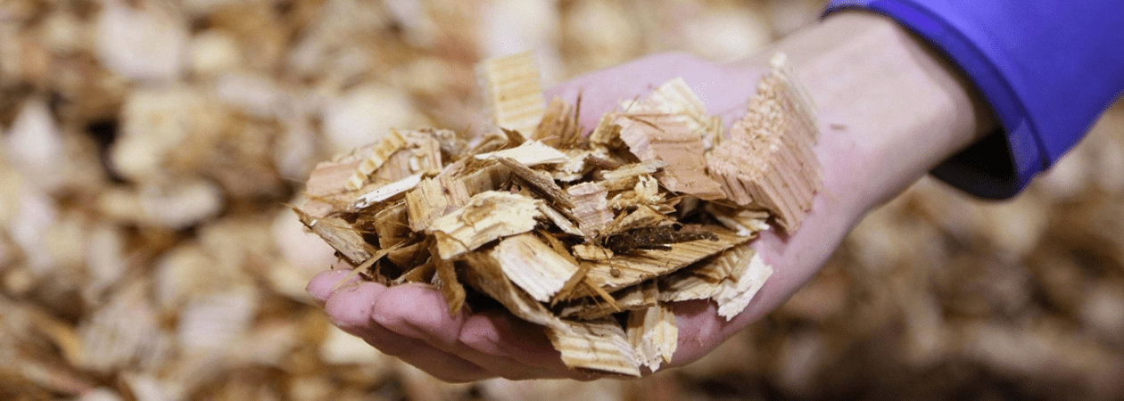 Image shows a palm holding wood shavings